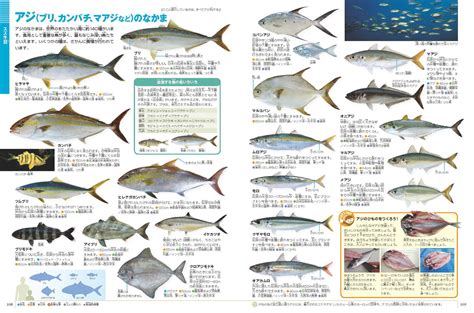 魚種類|WEB魚図鑑